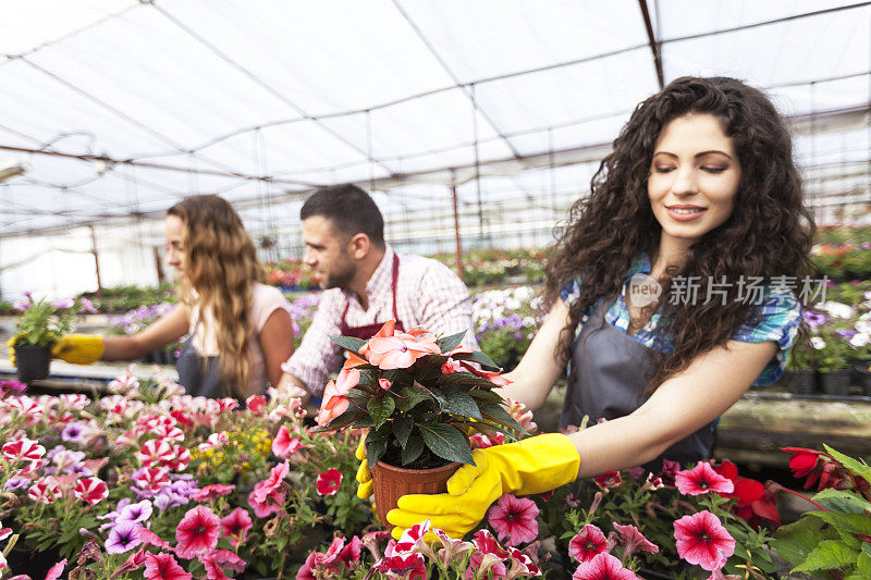 女工人有乐趣在温室