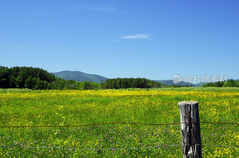 原野山峦和野花