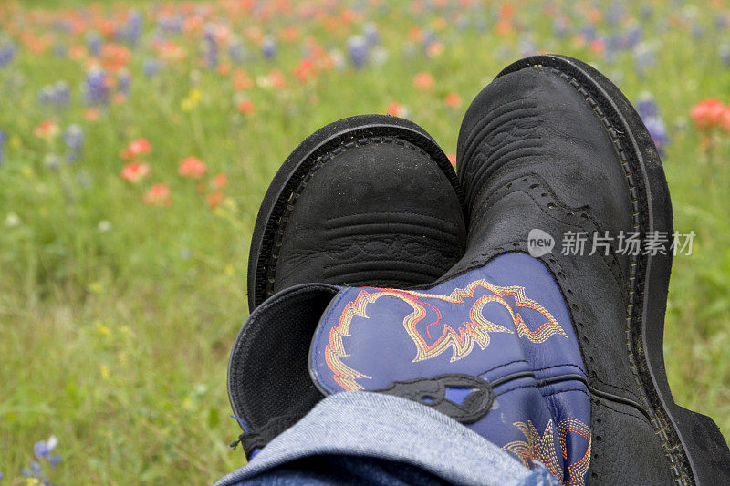 靴子和野花
