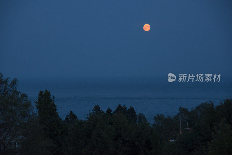 深蓝的天空，水平线上的红月亮。