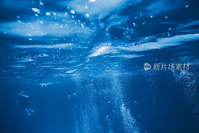 水肺潜水，探索海洋生物