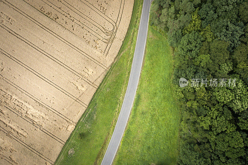 田野、道路和树林。鸟瞰图