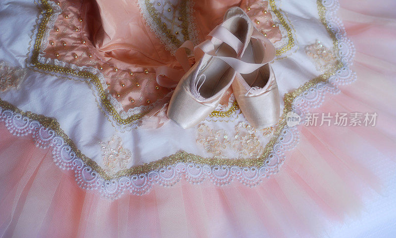 芭蕾舞女演员:古典芭蕾尖头鞋和芭蕾舞短裙