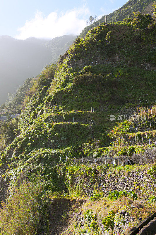 参观马德拉岛:北部海岸地区