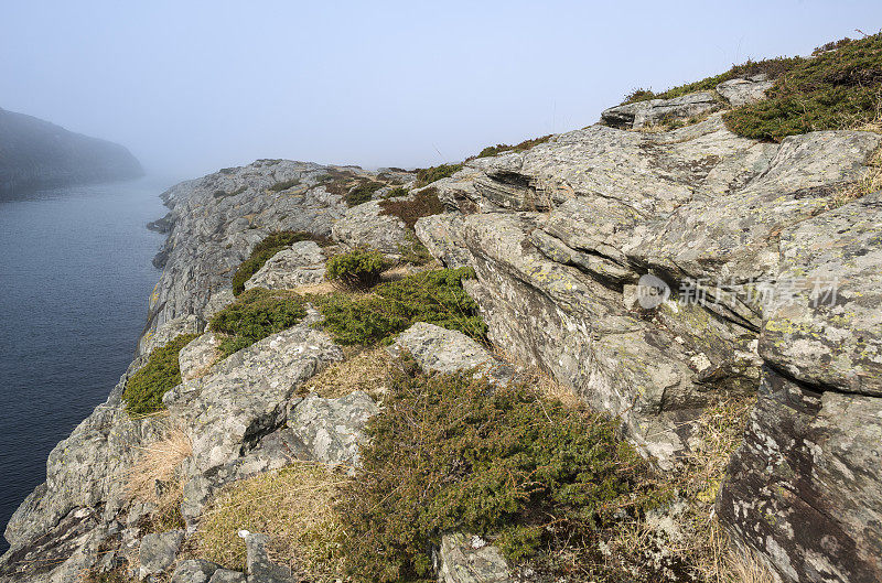 挪威岩岸在Golten(或Golta)的薄雾中