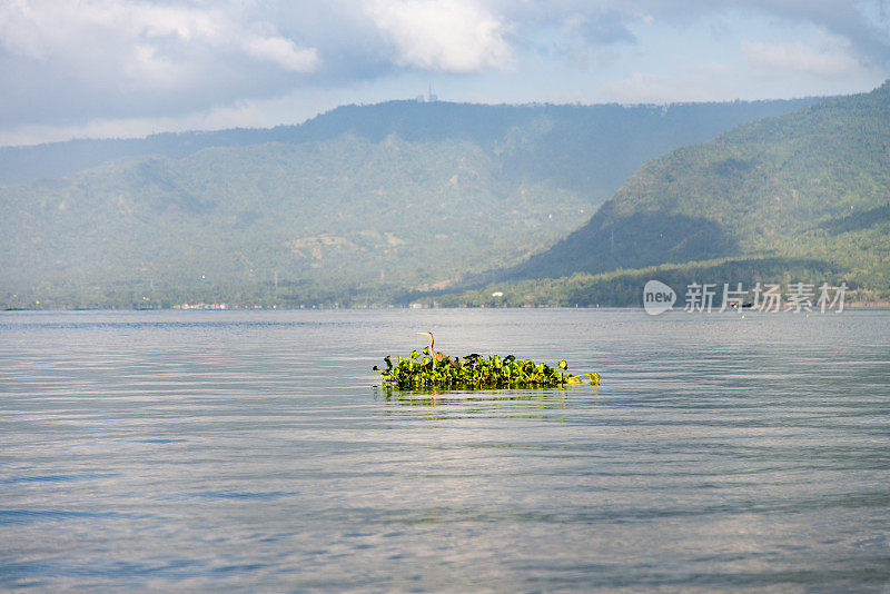 菲律宾的风景