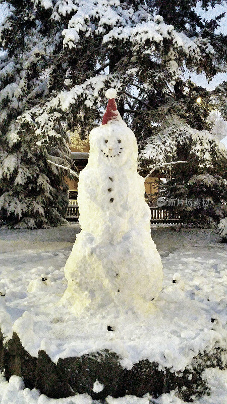 展示自制六英尺高的雪人和被雪覆盖的树