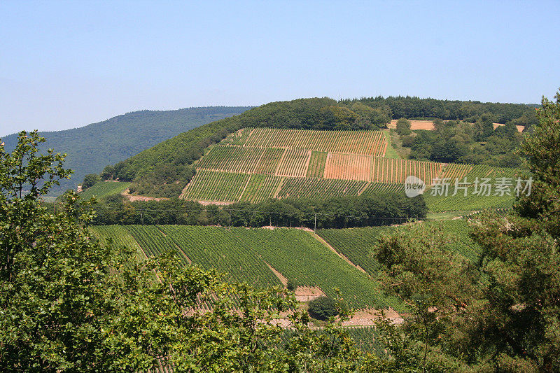 德国:升降机网址是Rüdesheim