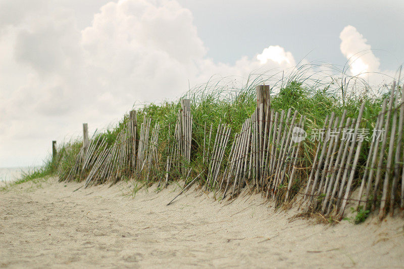 海滩小径上有海燕麦和栅栏。