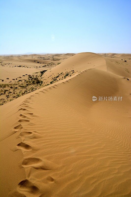 中国内蒙古腾格里沙漠景观