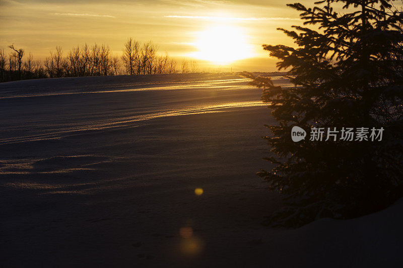 多雪的明尼苏达冬天-在日落雪堆