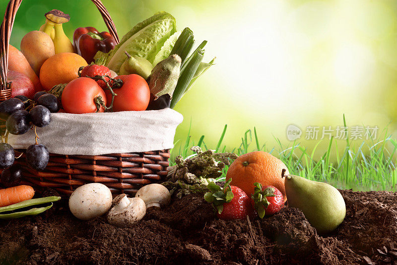 在土壤和绿色背景下分类水果和蔬菜