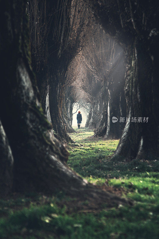 一个女人走在神秘的黑暗森林里