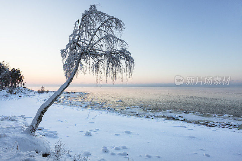 Vidzeme的海滨