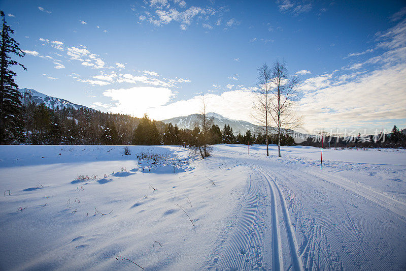 惠斯勒冬季越野滑雪道的风景。