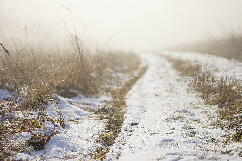 下雪的冬天的风景