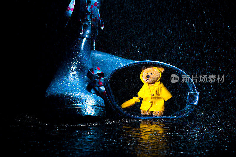 泰迪在雨中。