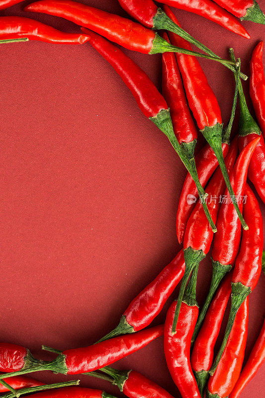 红辣椒，流行的香料概念-豆荚红辣椒在美丽的半圆组成在红色背景，俯视图，平坦的lay，自由的文字空间