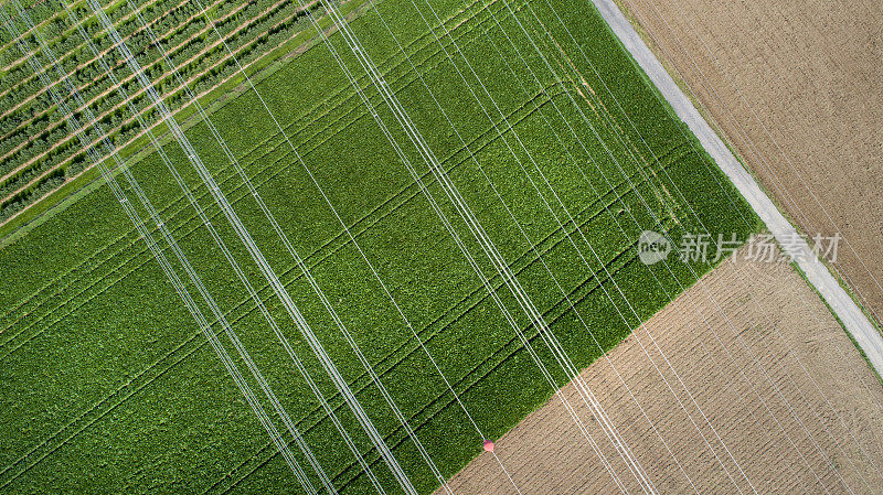 农业区域，田野和输电线路-鸟瞰图