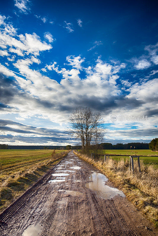 在深秋拍摄的景观垂直照片。在田野和草地之间的生锈的道路上有泥浆和水坑，很少有光秃秃的树木。天空是蓝色的，有白色和黑色的云。
