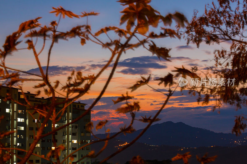 城市《暮光之城》