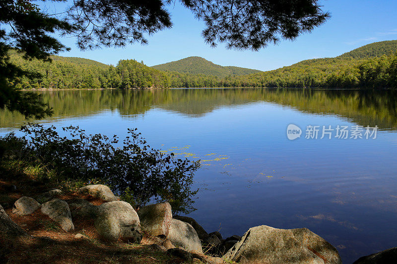 鹤池，阿迪朗达克山，纽约，树，蓝天景观反射