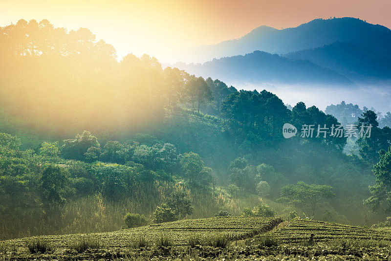 泰国北部的山景，日出和薄雾