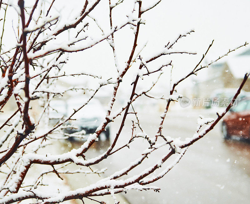 在居民区的大雪中开车。美国