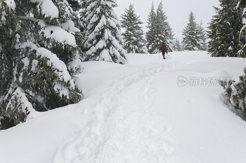 在雪林间徒步旅行的人