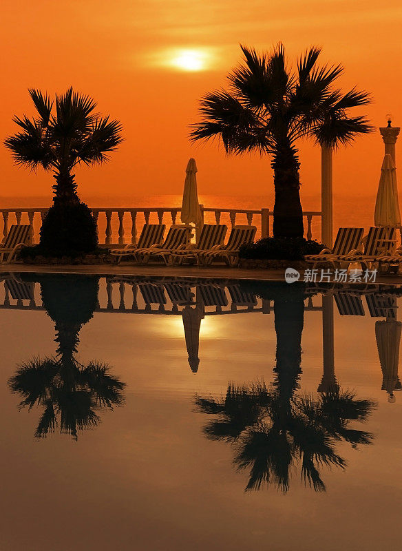 池边的棕榈树，背景是大海和夕阳