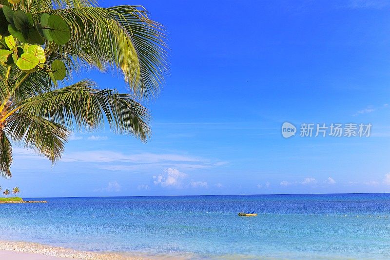 天然游泳池，海滩热带棕榈树-蒙特哥湾-牙买加，加勒比海