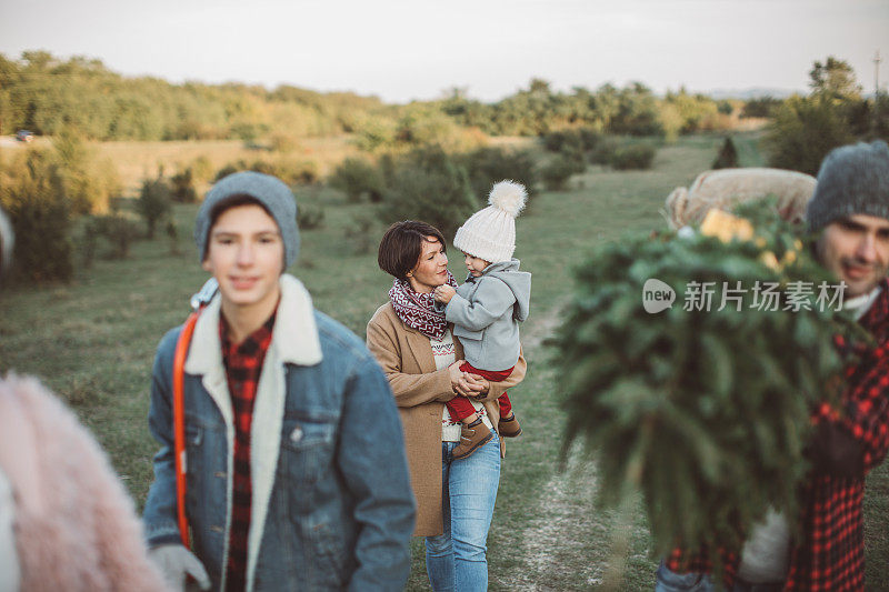 把圣诞树搬回家