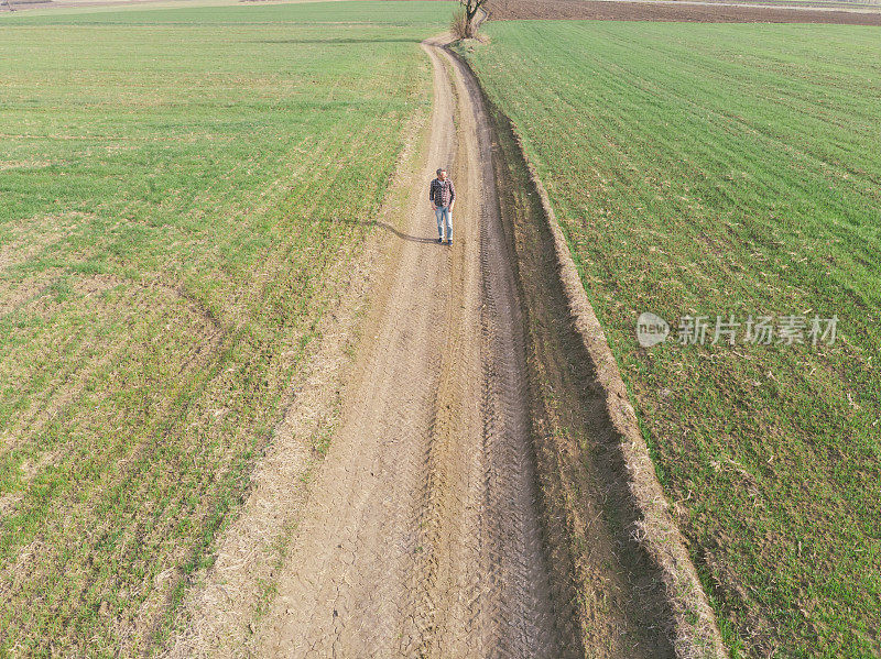 英俊的成年农民走在土路上穿过他的小麦苗田在早春。鸟瞰图。