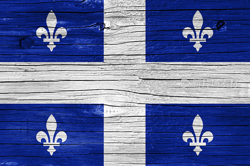 魁北克省旗木质纹理