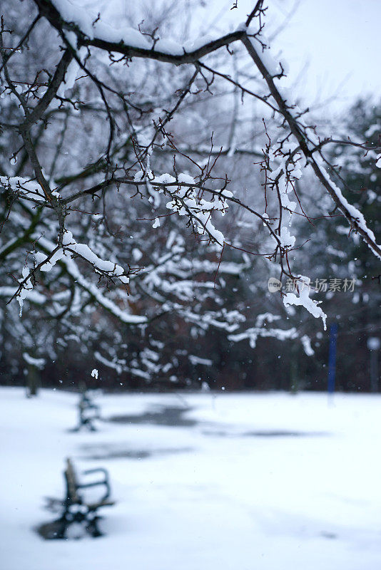 雪景多伦多公园