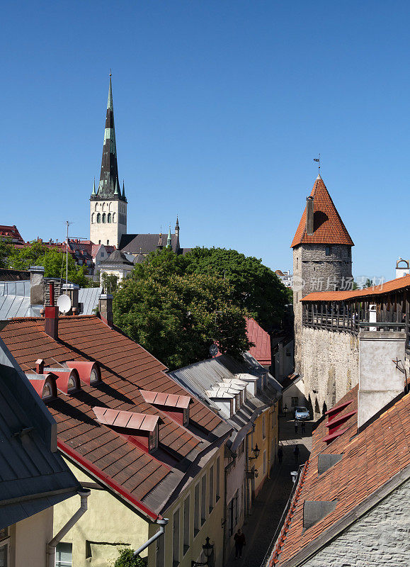 爱沙尼亚塔林的塔楼和屋顶