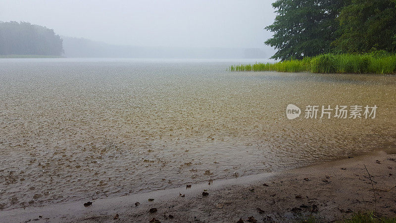 湖面上下着夏雨