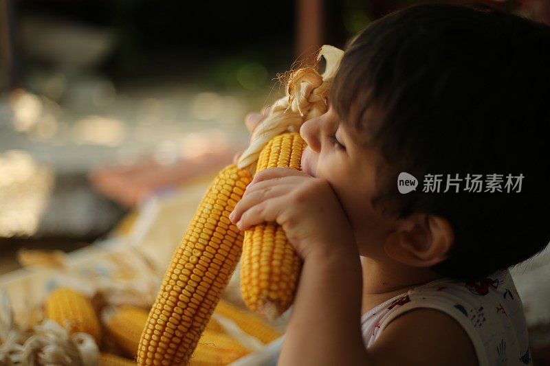 小男孩在啃新鲜的玉米棒子