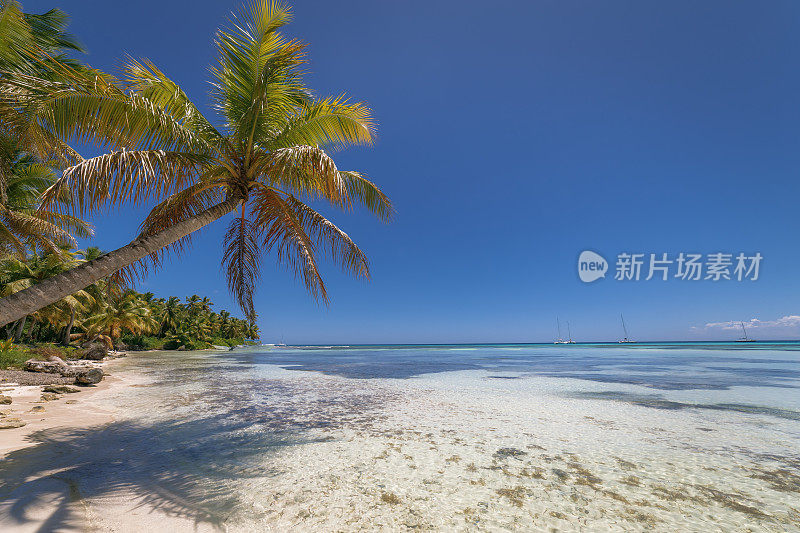 夏季天堂:热带海滩与游艇-蓬塔卡纳，加勒比