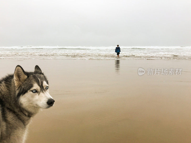 与9岁的孩子和家人的海滩冒险