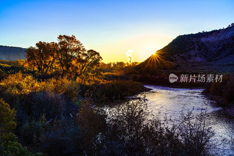 秋天的杨木在日落景观