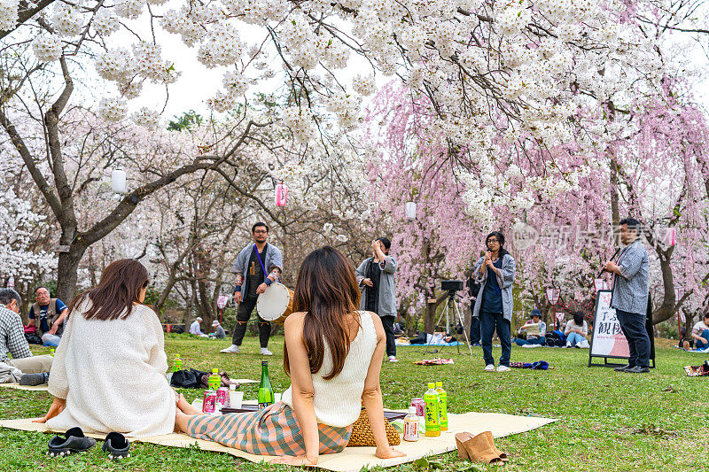 广崎公园樱花节