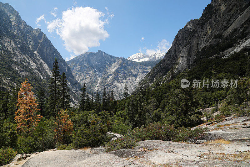 国王峡谷的峡谷景观