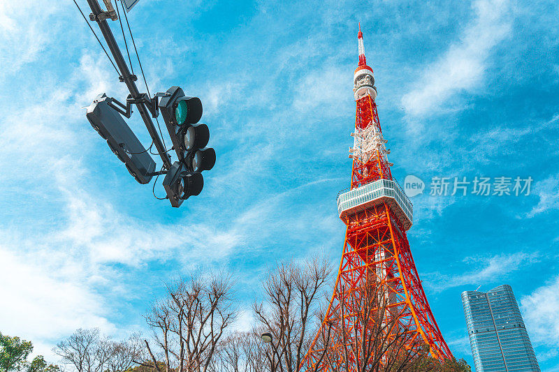 日本道路红绿灯的背景是东京塔和枝头的秋叶树