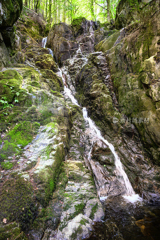 孚日瀑布中的瀑布位于森林景观中