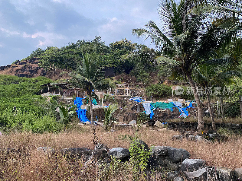 森林地区的棚屋和小屋被飓风摧毁的图像，房屋的框架被自然现象摧毁