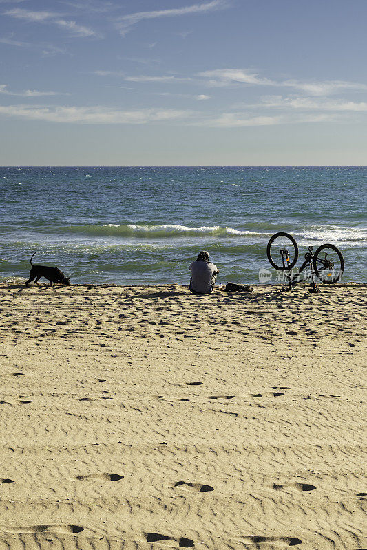 一个人带着他的狗和自行车在海边休息。在天空或沙地上复制空间