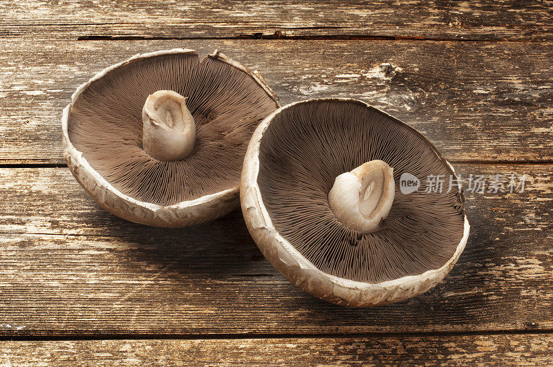 木头上的波多贝罗蘑菇