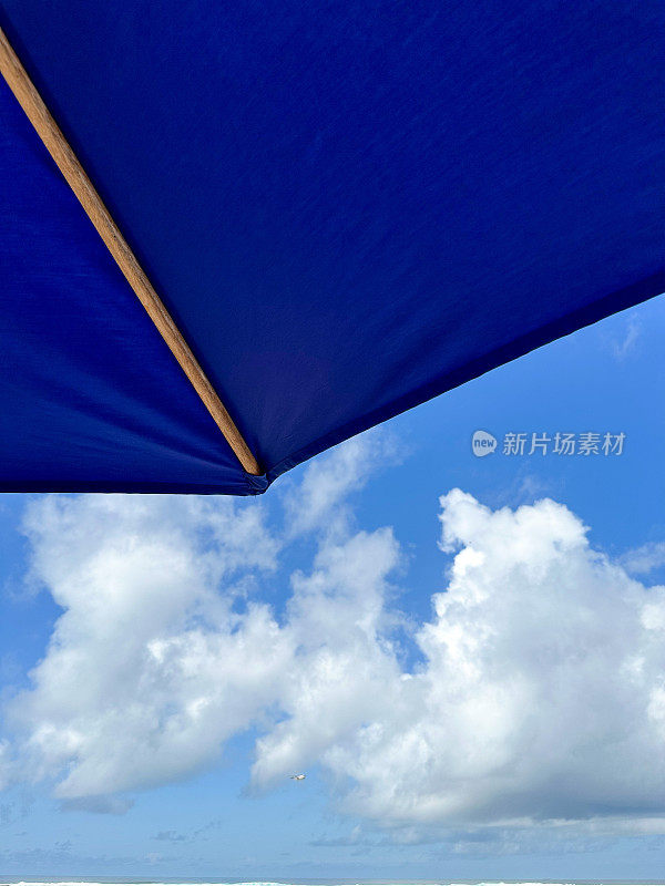蓝色的伞