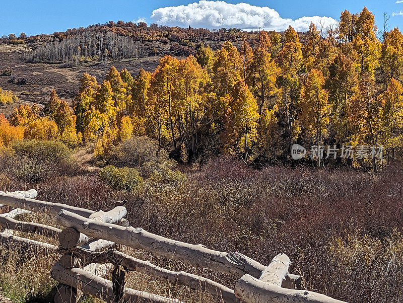 犹他州雪松山上Kolob水库的秋色